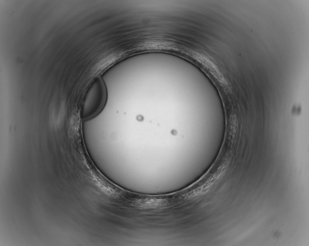 X0000100190841200806131206