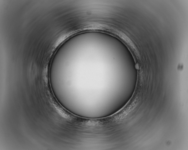 X0000100190842200806131206