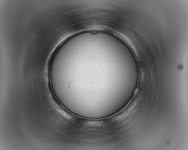 X0000100190843200806131206