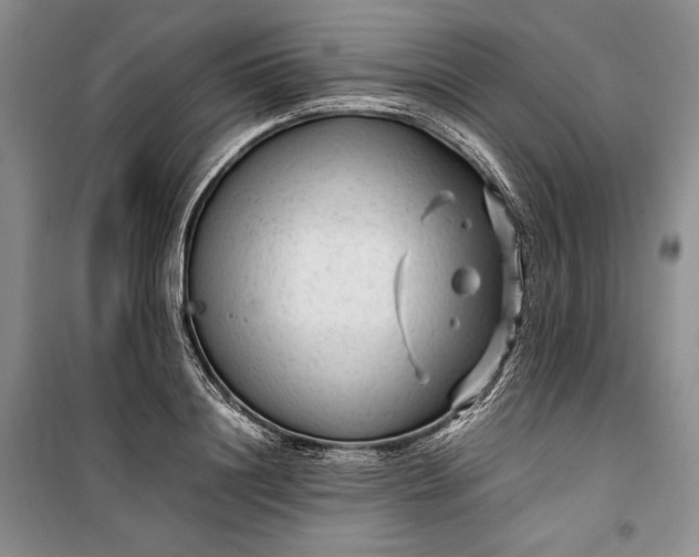 X0000100190844200806131206