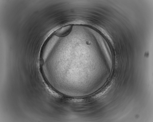 X0000100190845200806131206