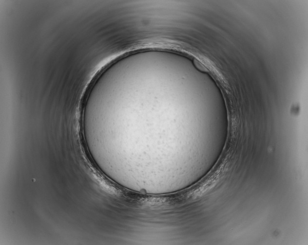 X0000100190846200806131206