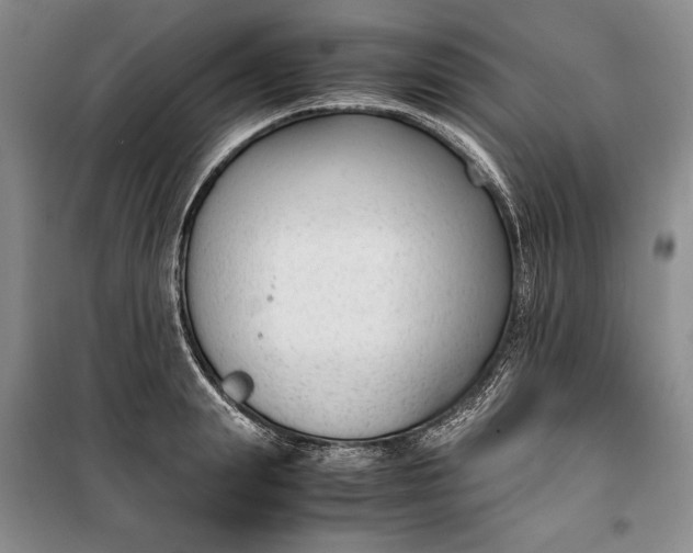 X0000100190847200806131206