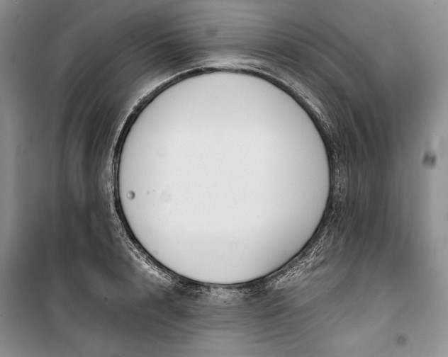 X0000100190848200806131206