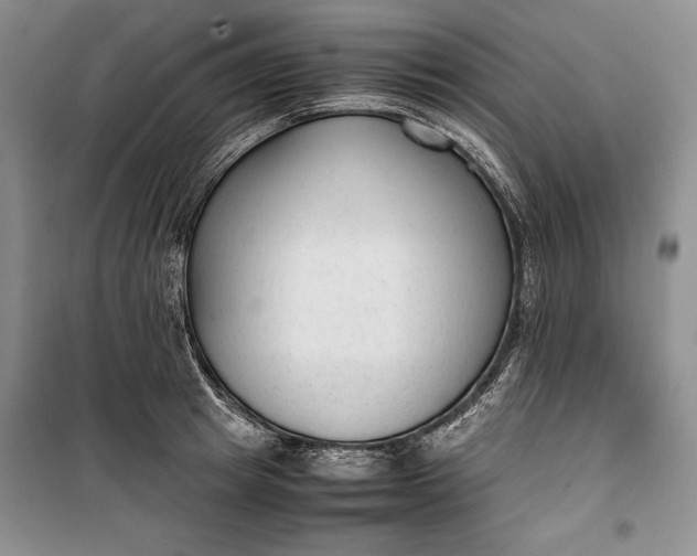 X0000100190849200806131206