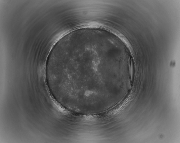 X0000100190850200806131206