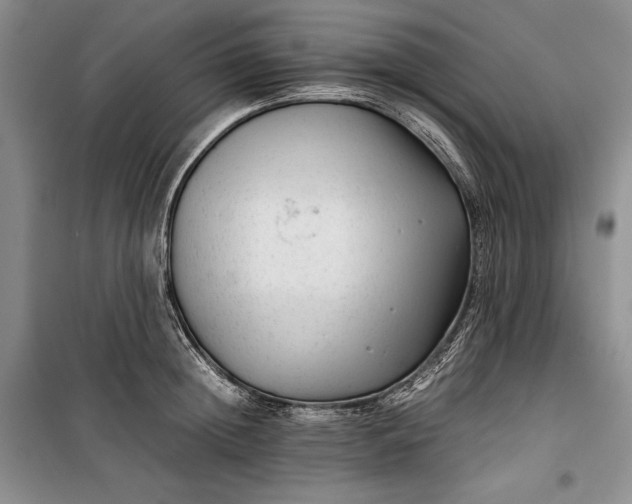 X0000100190852200806131206