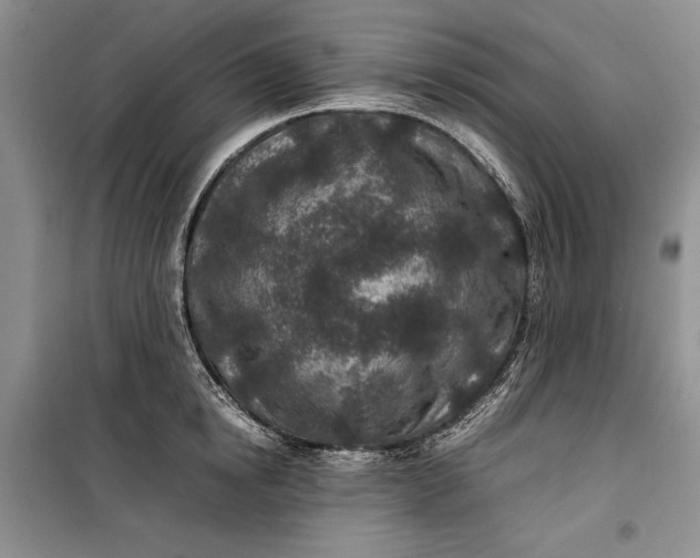 X0000100190854200806131206