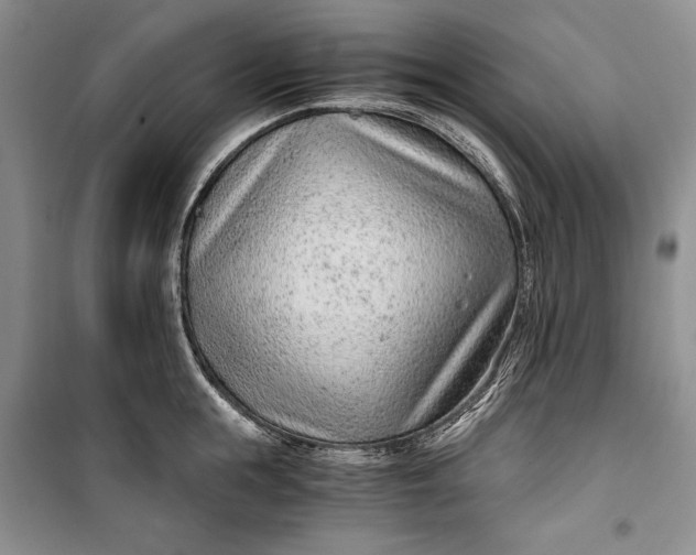 X0000100190855200806131206