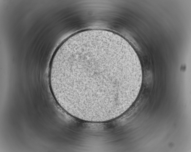 X0000100190856200806131206