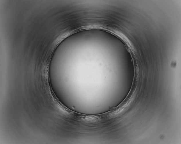 X0000100190857200806131206