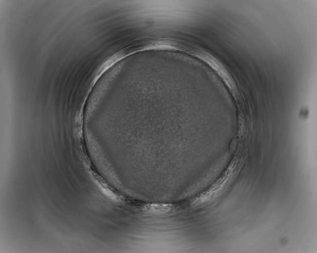 X0000100190858200806131206