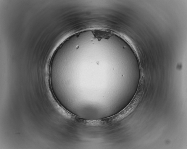 X0000100190859200806131206