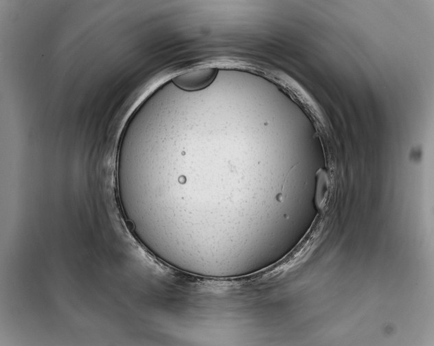 X0000100190860200806131206