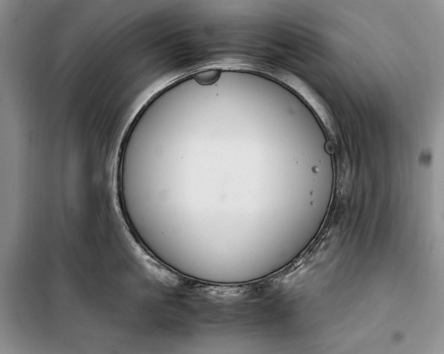 X0000100190861200806131206