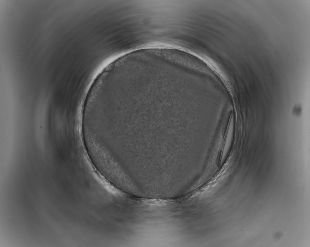 X0000100190862200806131206