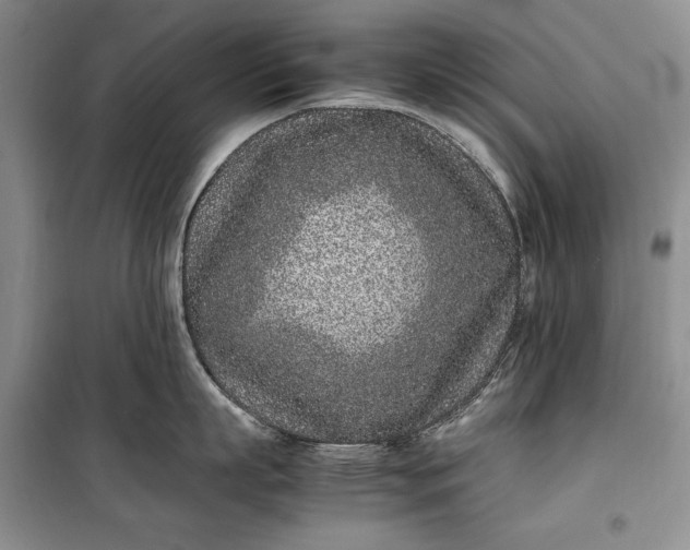 X0000100190863200806131206