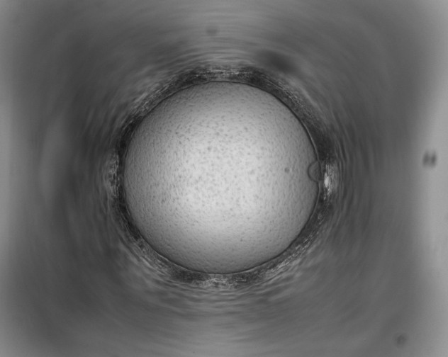 X0000100190867200806131205