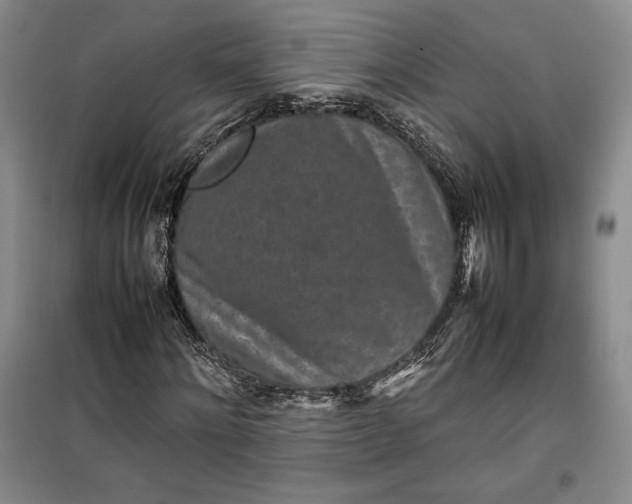 X0000100190868200806131205