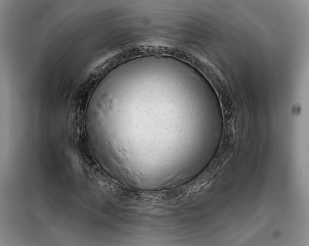 X0000100190870200806131205