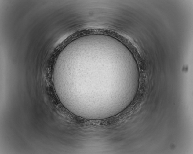 X0000100190871200806131205