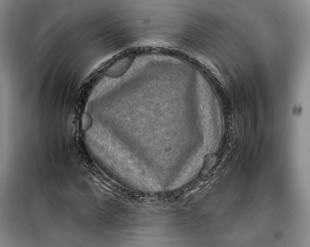 X0000100190872200806131205