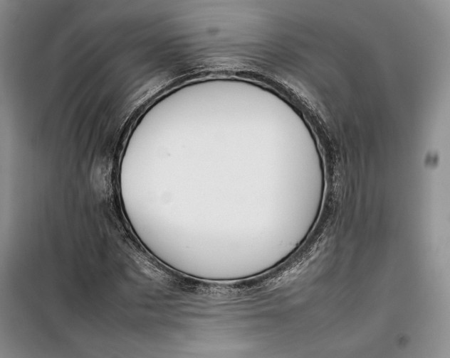 X0000100190873200806131205