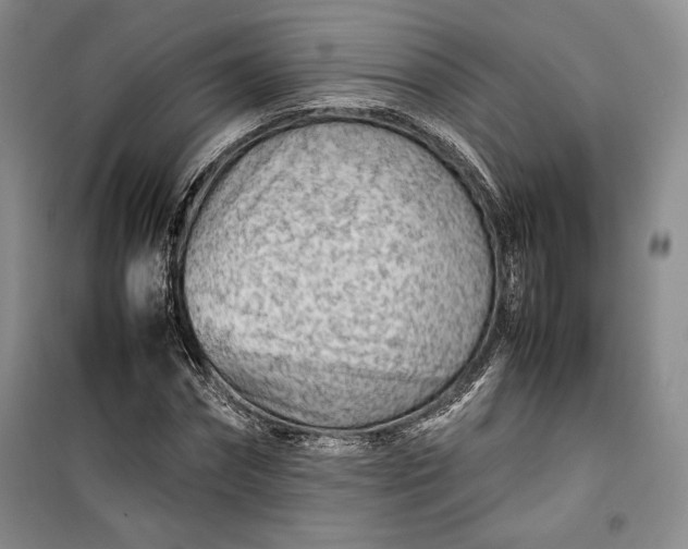 X0000100190874200806131205