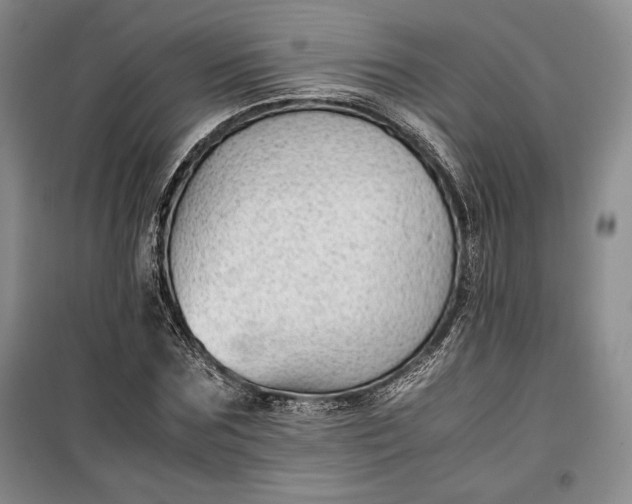 X0000100190875200806131205