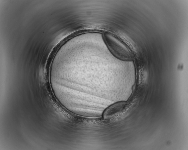 X0000100190876200806131205