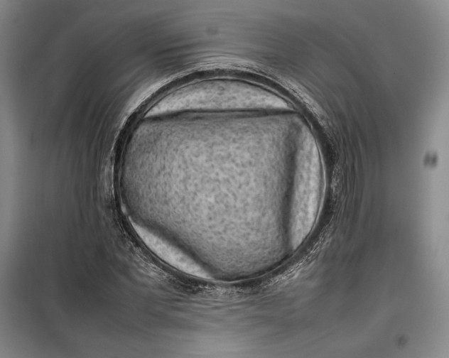 X0000100190877200806131205