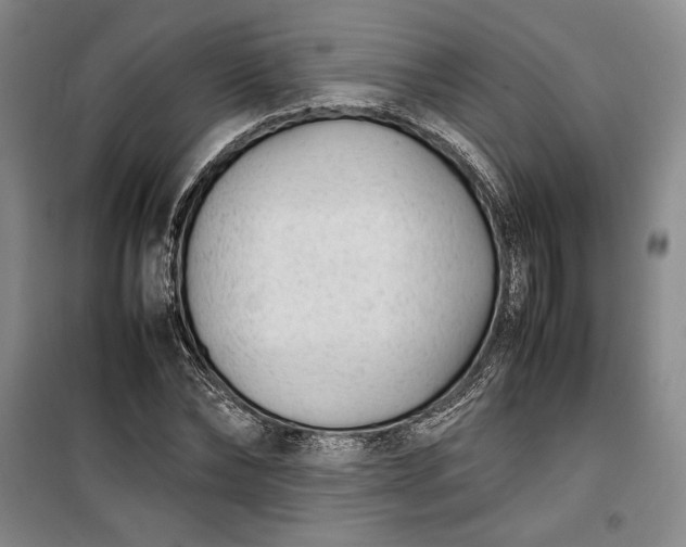 X0000100190878200806131205