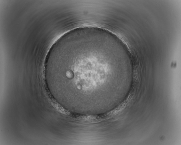 X0000100190879200806131205