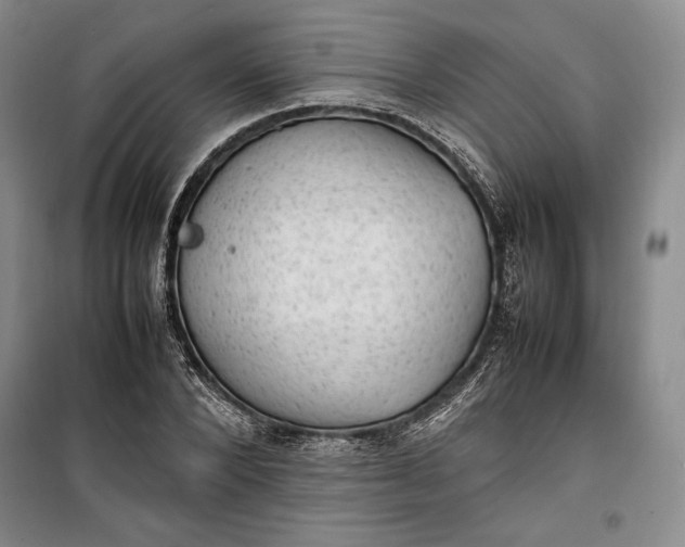 X0000100190880200806131205