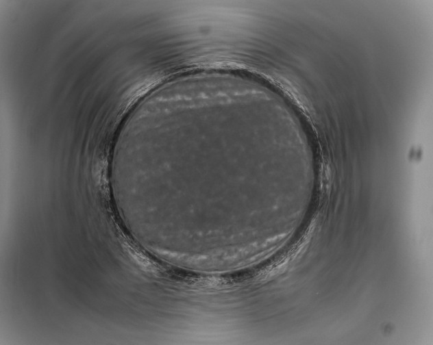 X0000100190881200806131205