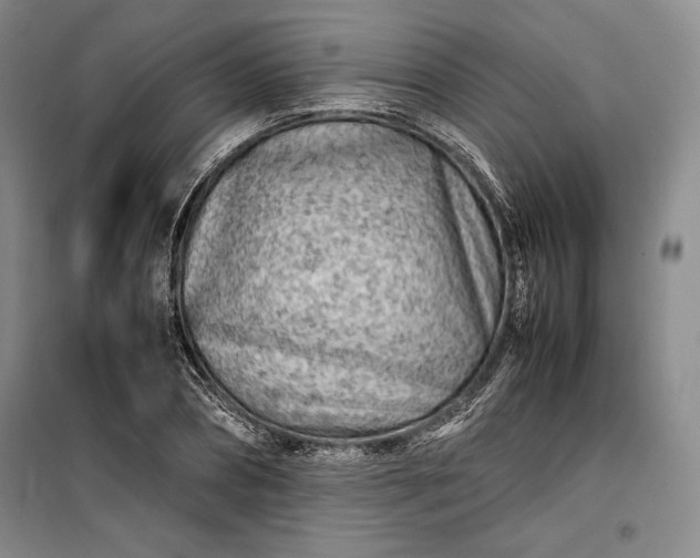 X0000100190882200806131205