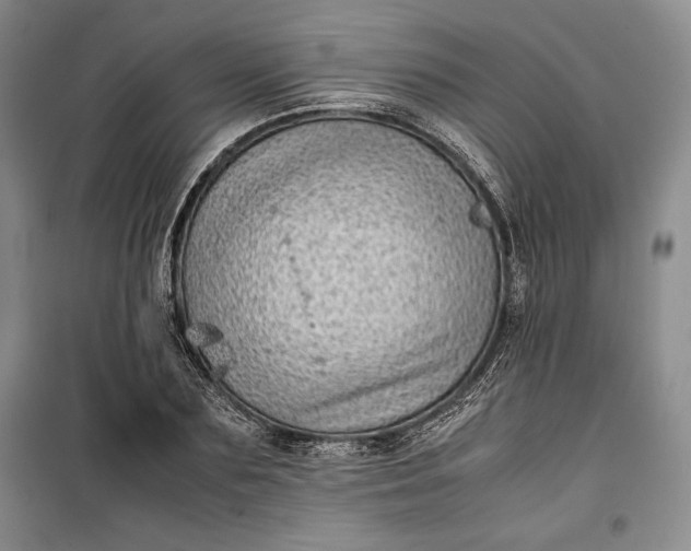 X0000100190883200806131205