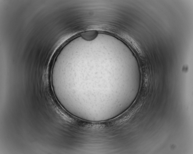 X0000100190884200806131205