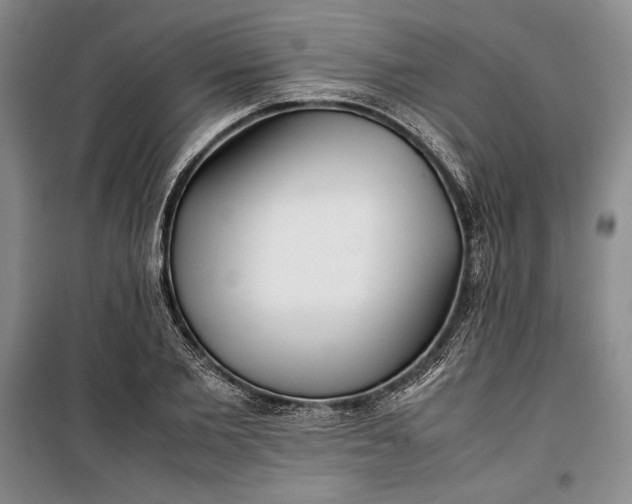 X0000100190885200806131205