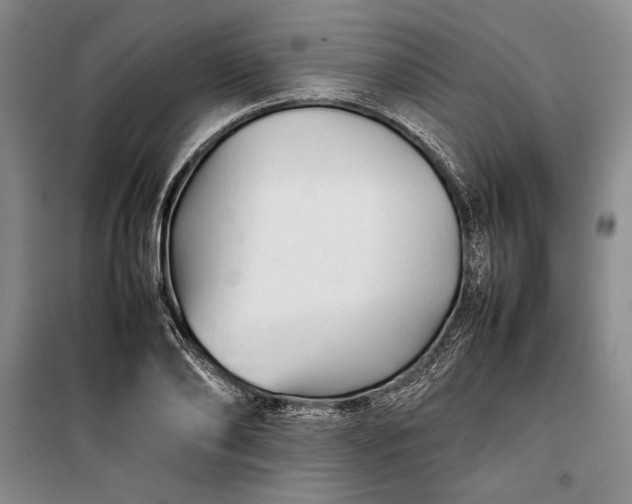 X0000100190886200806131205