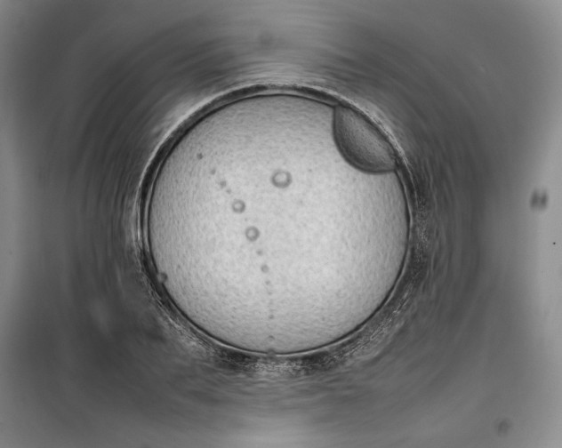 X0000100190887200806131205