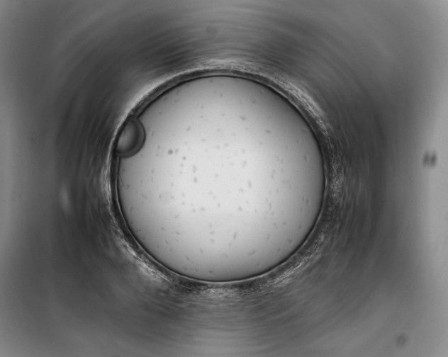 X0000100190888200806131205