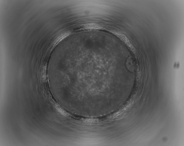 X0000100190889200806131205