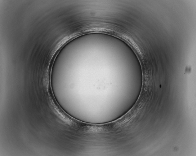 X0000100190890200806131205