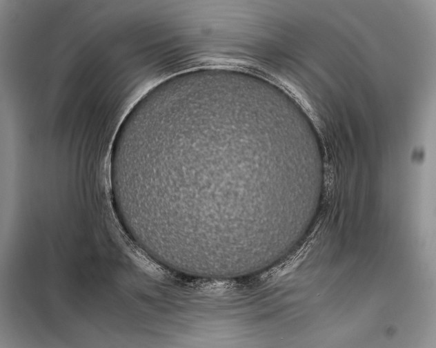 X0000100190891200806131205