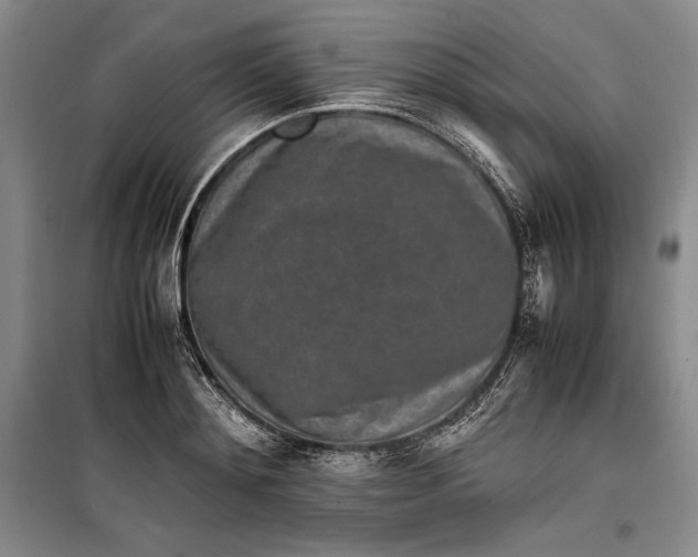 X0000100190892200806131205