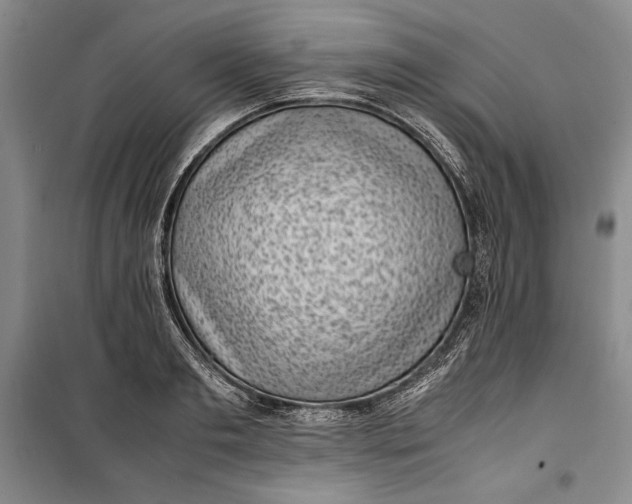 X0000100190893200806131205