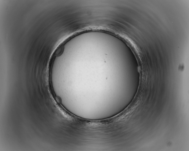 X0000100190894200806131205