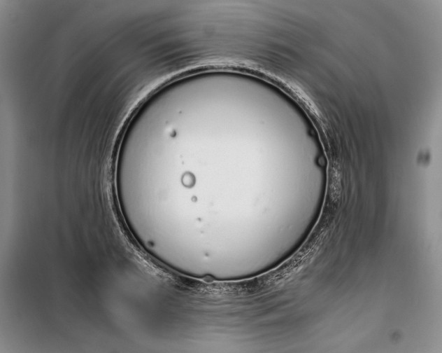 X0000100190895200806131205