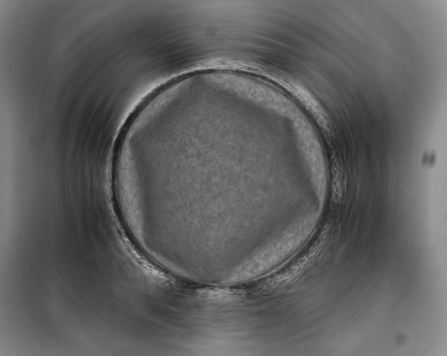 X0000100190896200806131205